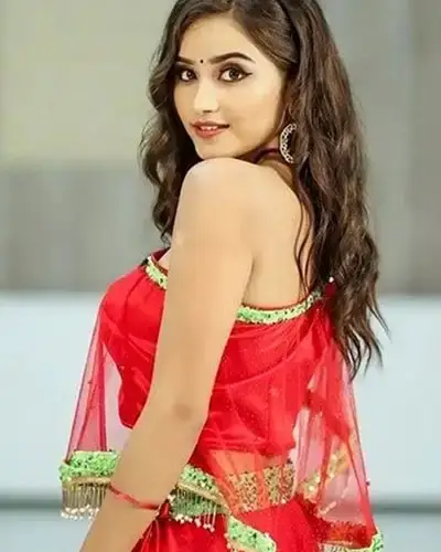 Call Girls Service Hole Narsipur